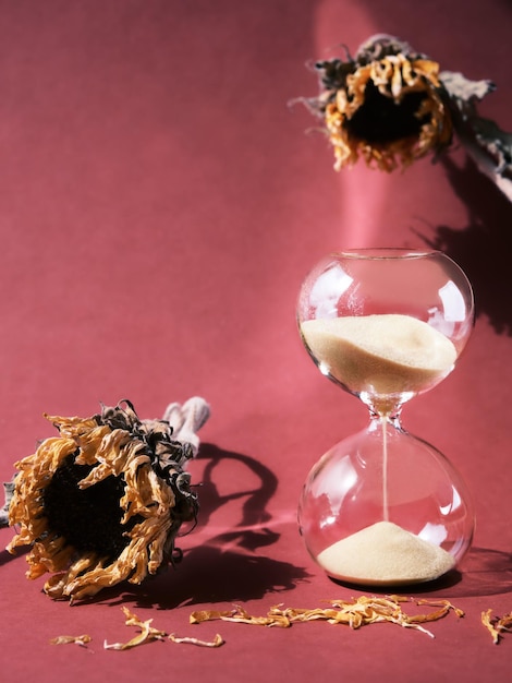 Don’t Miss Out: Time-Sensitive Investment Opportunities Expiring January 2025