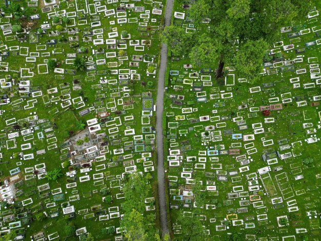 Real Estate Investing in 2025: Is Now the Right Time to Buy?
