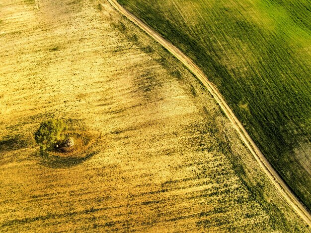 Unlock Long-Term Wealth: Investing in Farmland