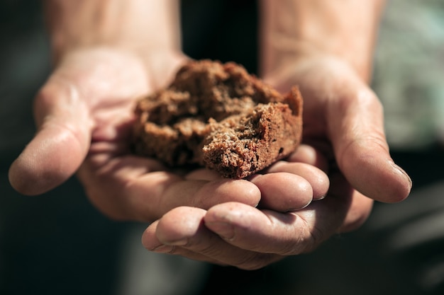 Close-up shot of rich, fertile soil being held in a hand, emphasizing the importance of soil quality for successful farmland investments.