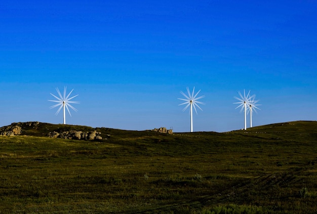 A field of wind turbines spinning gracefully under a clear blue sky, with rolling green hills in the background. The turbines are modern and efficient, contributing to a clean energy landscape.