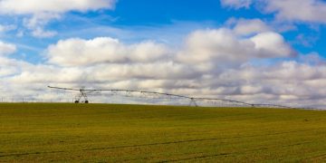 Investing in Renewable Energy: A Guide to Sustainable and Profitable Choices - Cover Image