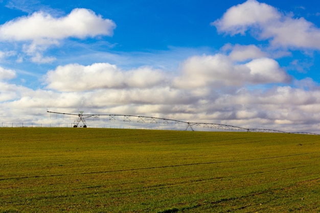Investing in Renewable Energy: A Guide to Sustainable and Profitable Choices