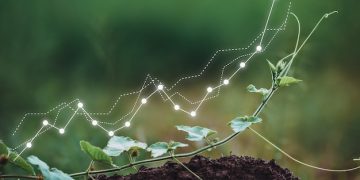 Investing in Small-Cap Stocks: Navigating Risks, Maximizing Rewards - Cover Image